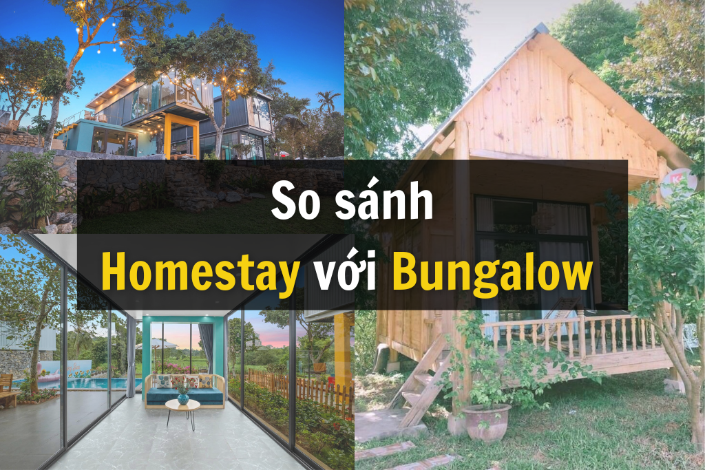 So sánh homestay với bungalow - Loại hình nào đáng đầu tư hơn?